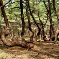 Hotel photos Skipper Hotel