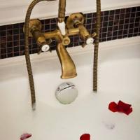 Hotel photos Golden Garden Boutique Hotel