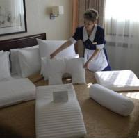 Hotel photos Aerostar