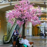 Fotos del hotel Essense of Moscow