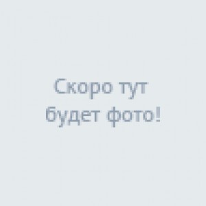 Hotelfotos Отель Гринвич